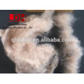 Chinese natural white brown 100% pure camel hair fine fiber from alashan